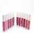 БЛЕСЛ ДЛЯ ГУБ SISLEY PHYTO LIP ECLAT (12шт)