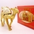 CAMEL eau de parfum  Восточный